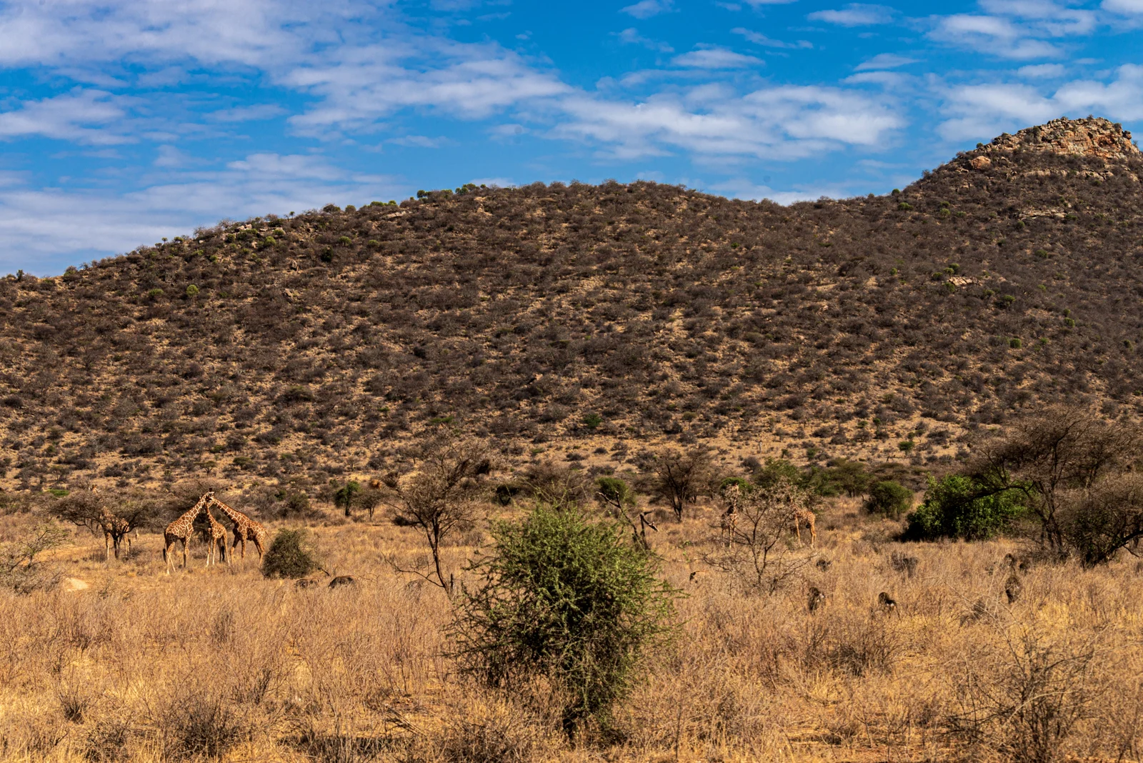 Kenya