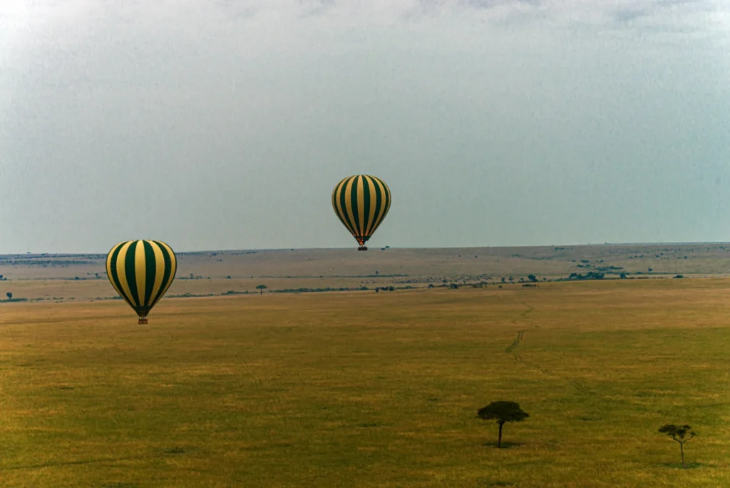 Masai Mara: Sunrise & Optional Balloon Safari