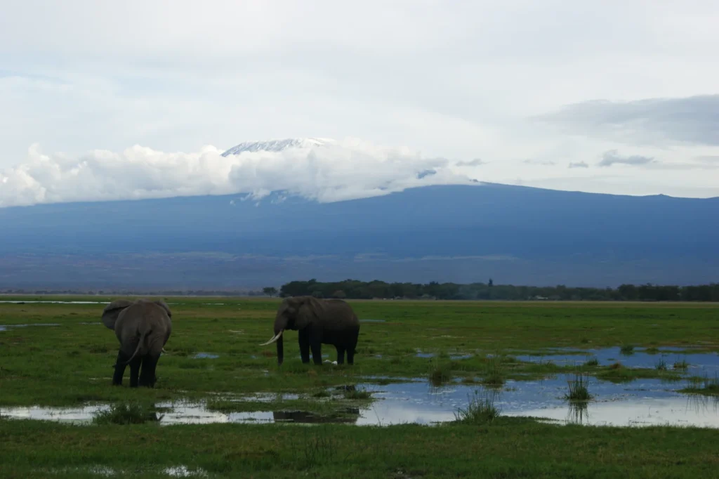 Africa